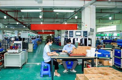 數字化內銷路徑帶火外貿產品