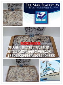 美國加州魷魚與海天使 電子商務(wù)的新藍海