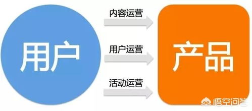 大學(xué)專業(yè)選擇指南 數(shù)字內(nèi)容制作服務(wù)與互聯(lián)網(wǎng)運(yùn)營(yíng)